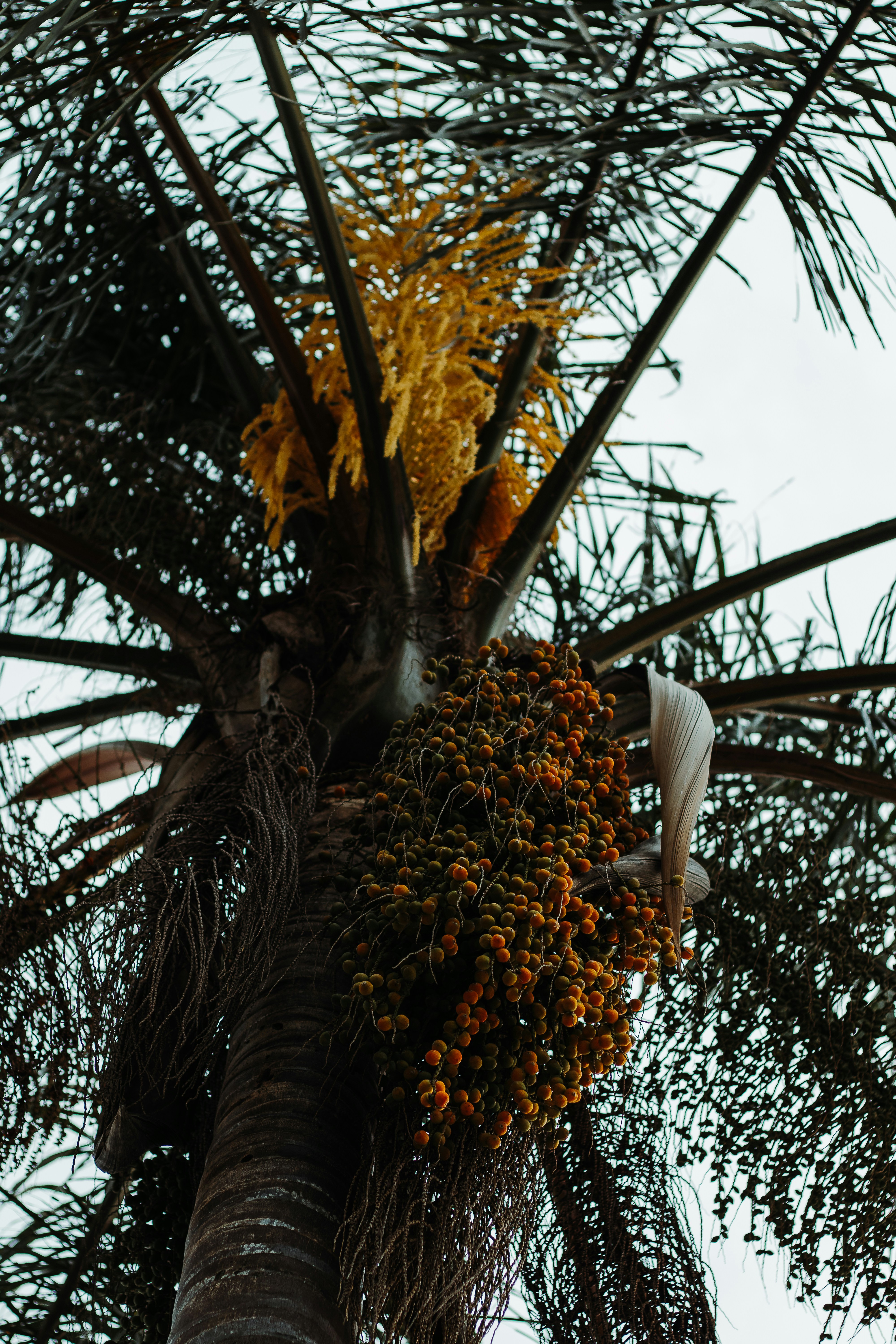 Photo by eduschadesoares