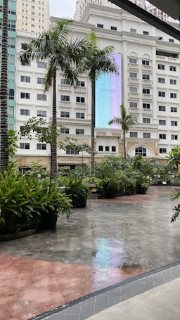 A cityscape featuring a multi-story building with several windows and an illuminated sign that reads 'Eastwood City'. There are tall palm trees and lush green plants in the foreground, with a wet concrete ground that reflects part of the building.