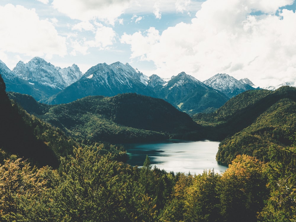 árvores verdes perto do lago e montanhas sob nuvens brancas e céu azul durante o dia