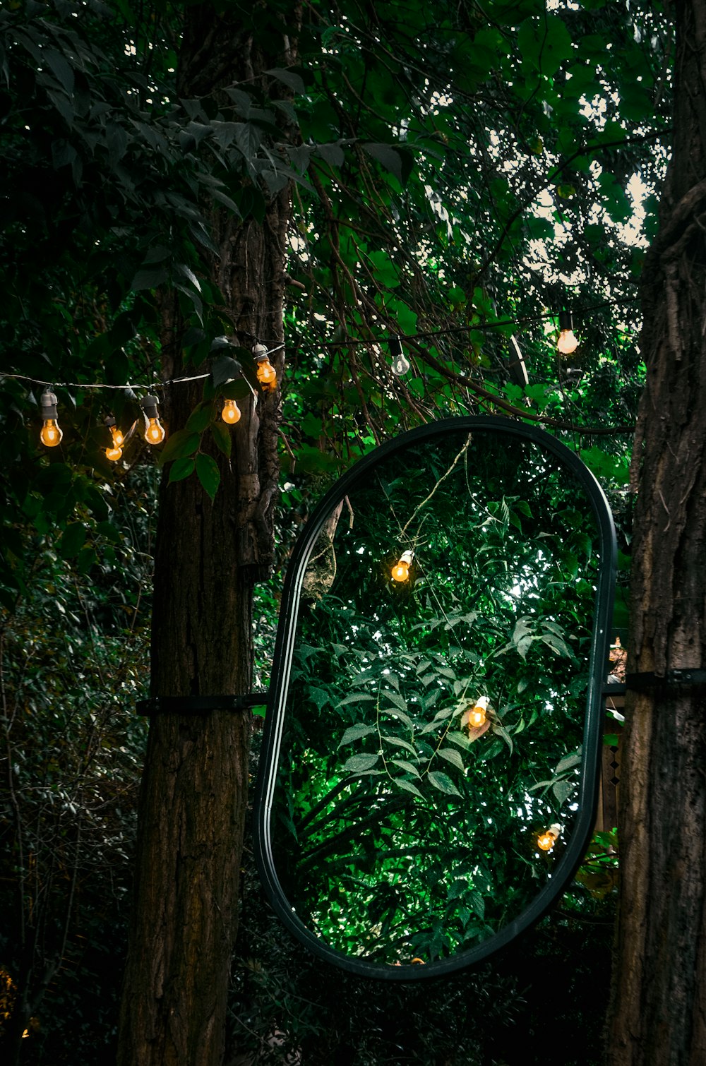 green metal chair near tree