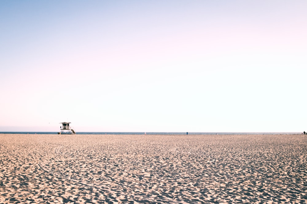 people walking on brown sand during daytime