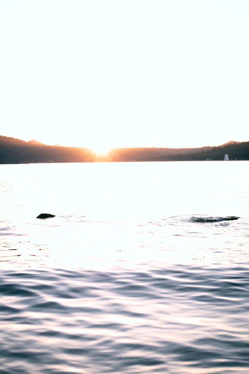 body of water during sunset