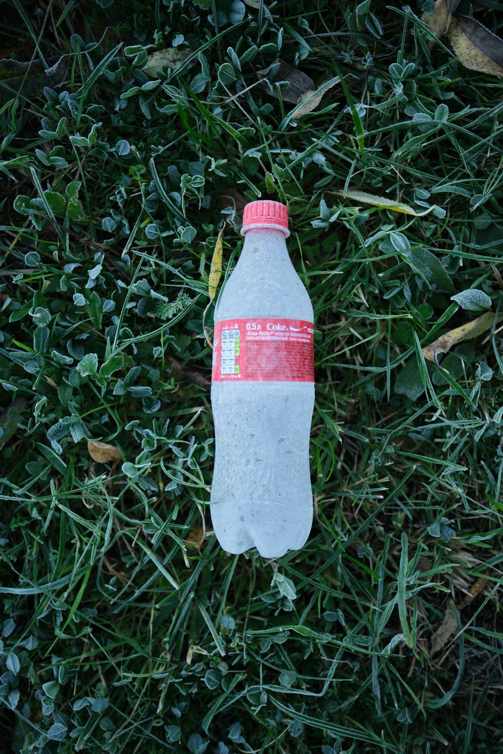 coca cola plastic bottle on green grass