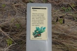 A sign in a natural setting provides information about the plant 'Ākia', describing its poisonous berries and its use in stunning fish for easy capture. The text is accompanied by an illustration of the plant featuring green leaves and red berries.