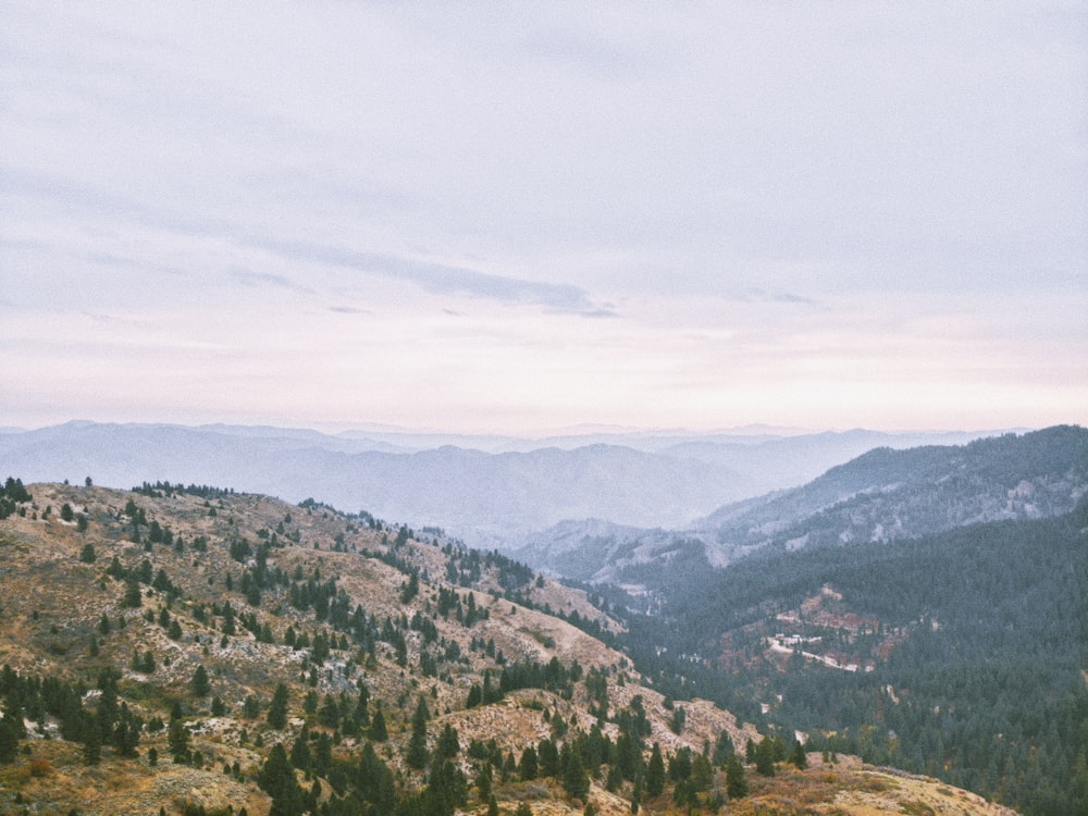 green trees on mountain under white clouds during daytime