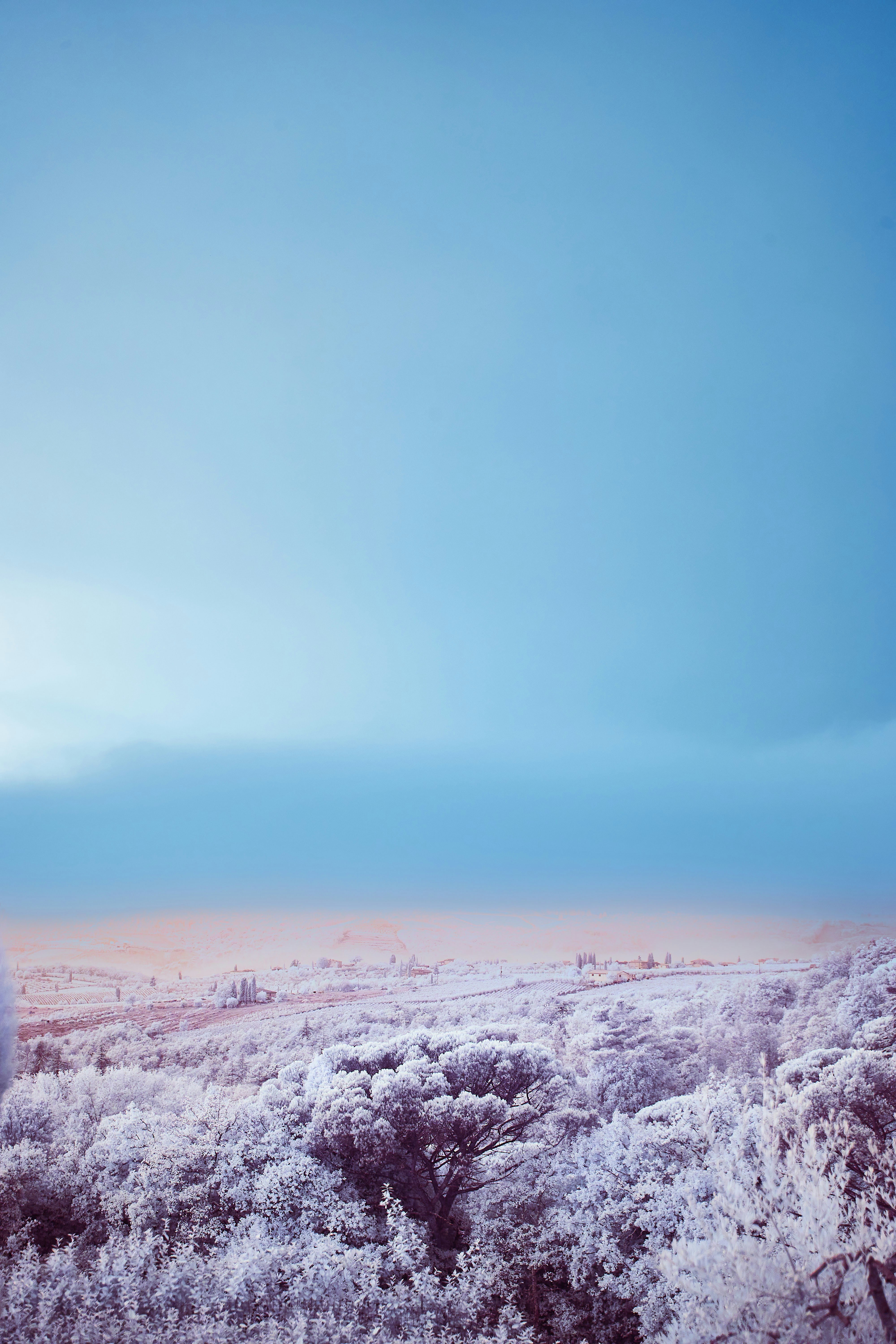 Photo by wolfgang_hasselmann