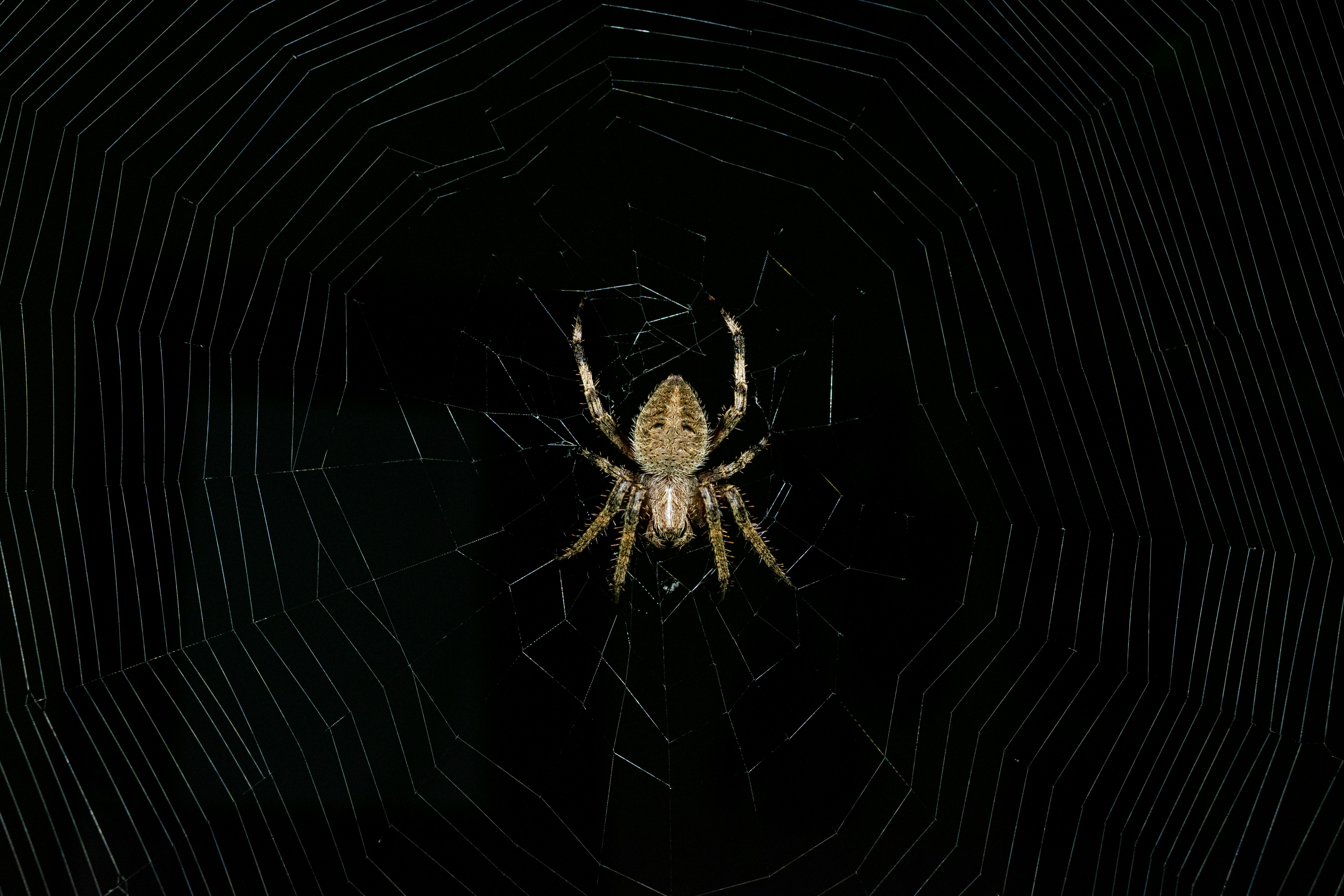 Photo by hellokatuvi