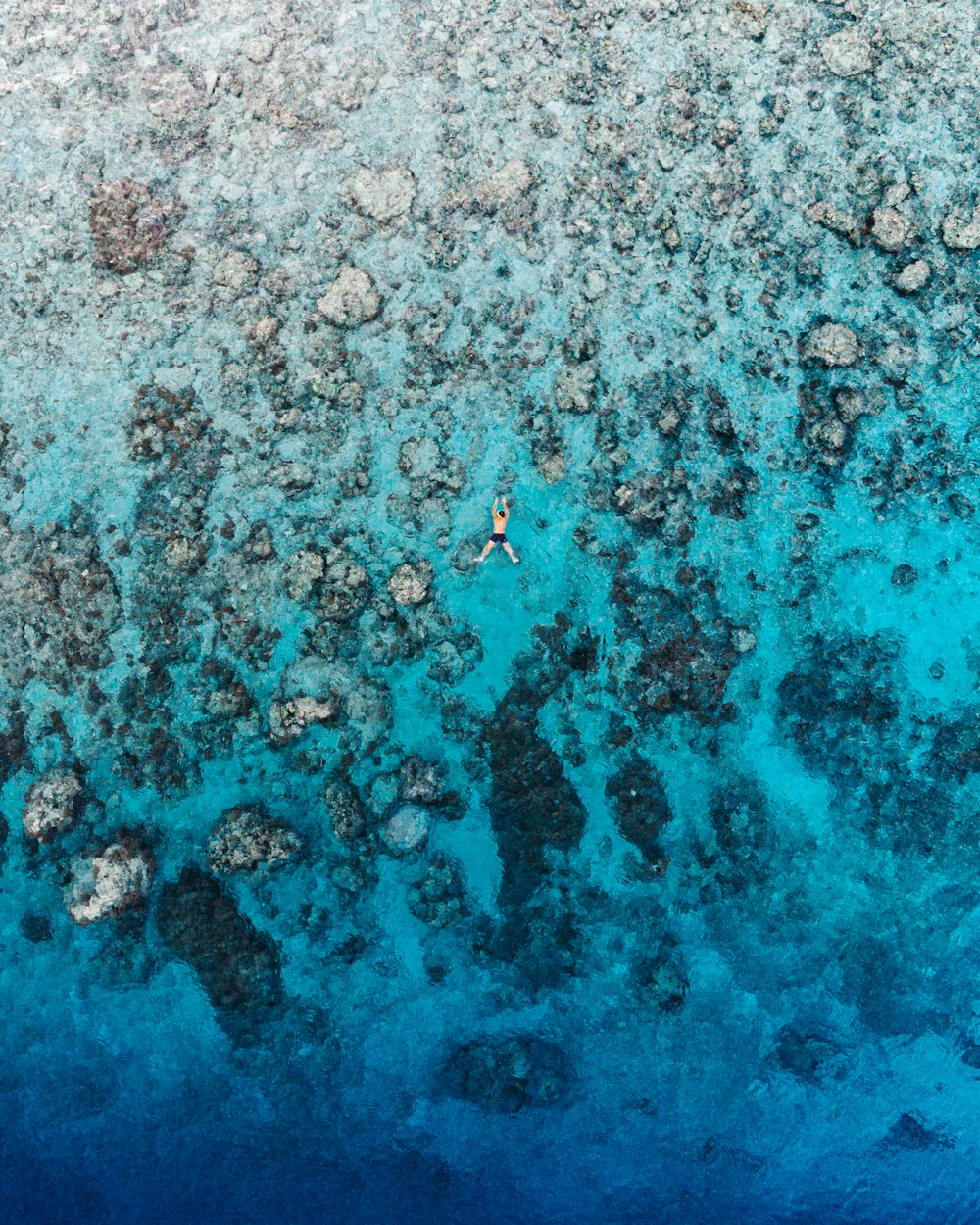 aerial view of body of water