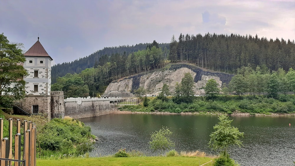 arbres verts près d’un plan d’eau pendant la journée