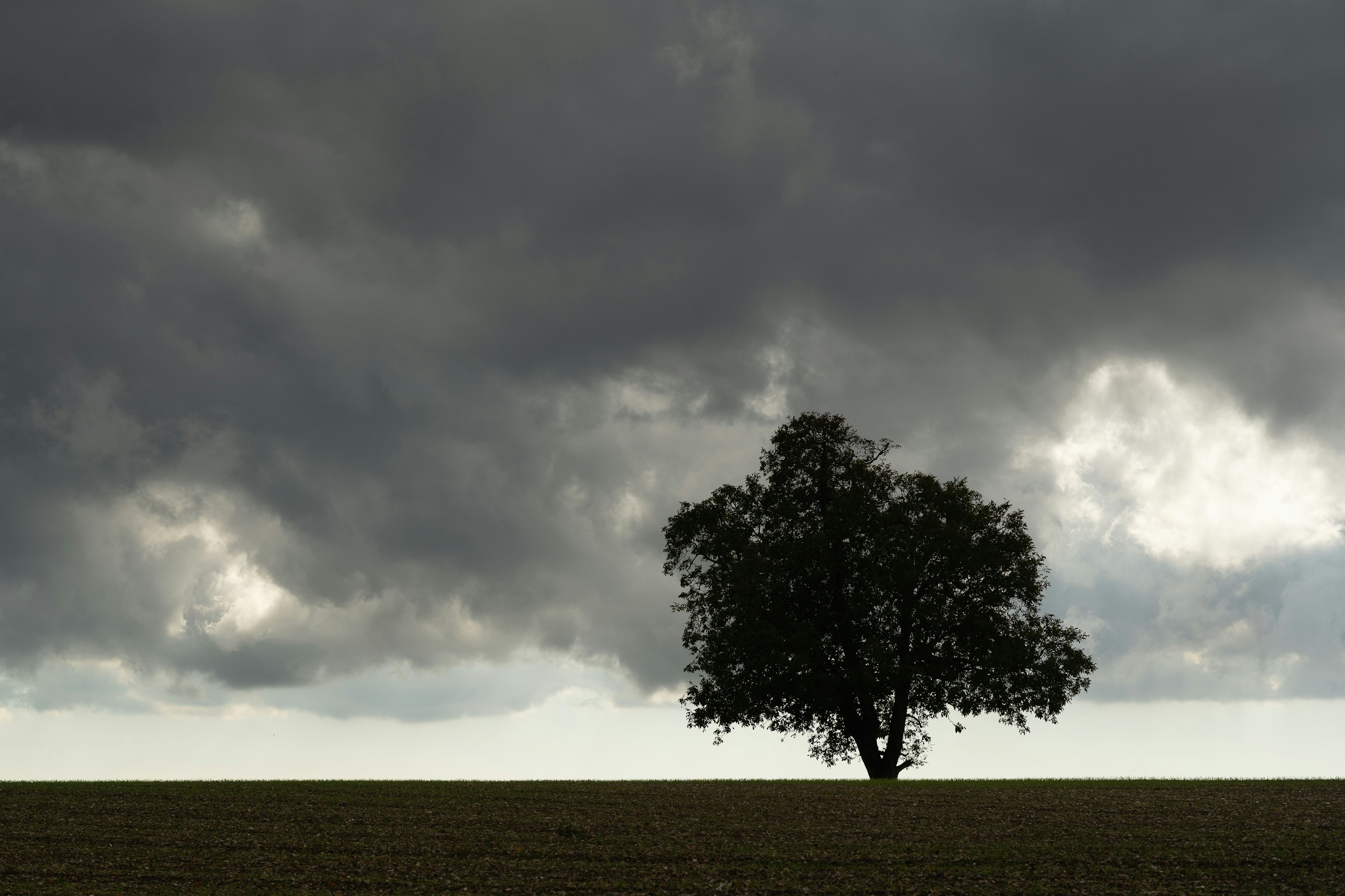 Photo by jannerboy62