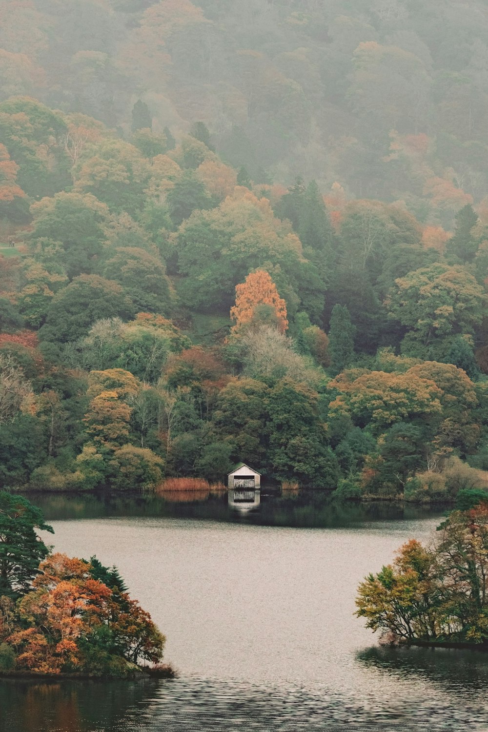 white and black house near lake surrounded by green and brown trees during daytime