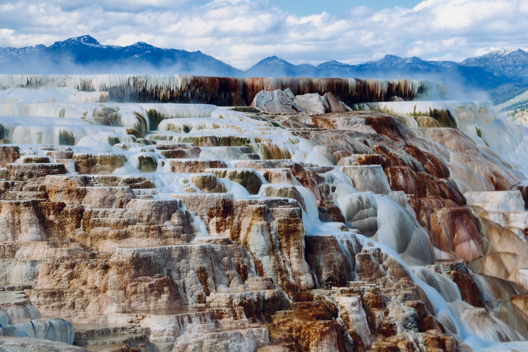 Escape to Nature: 6 Mesmerizing Series to Watch After Planet Earth… — Escape to Nature
