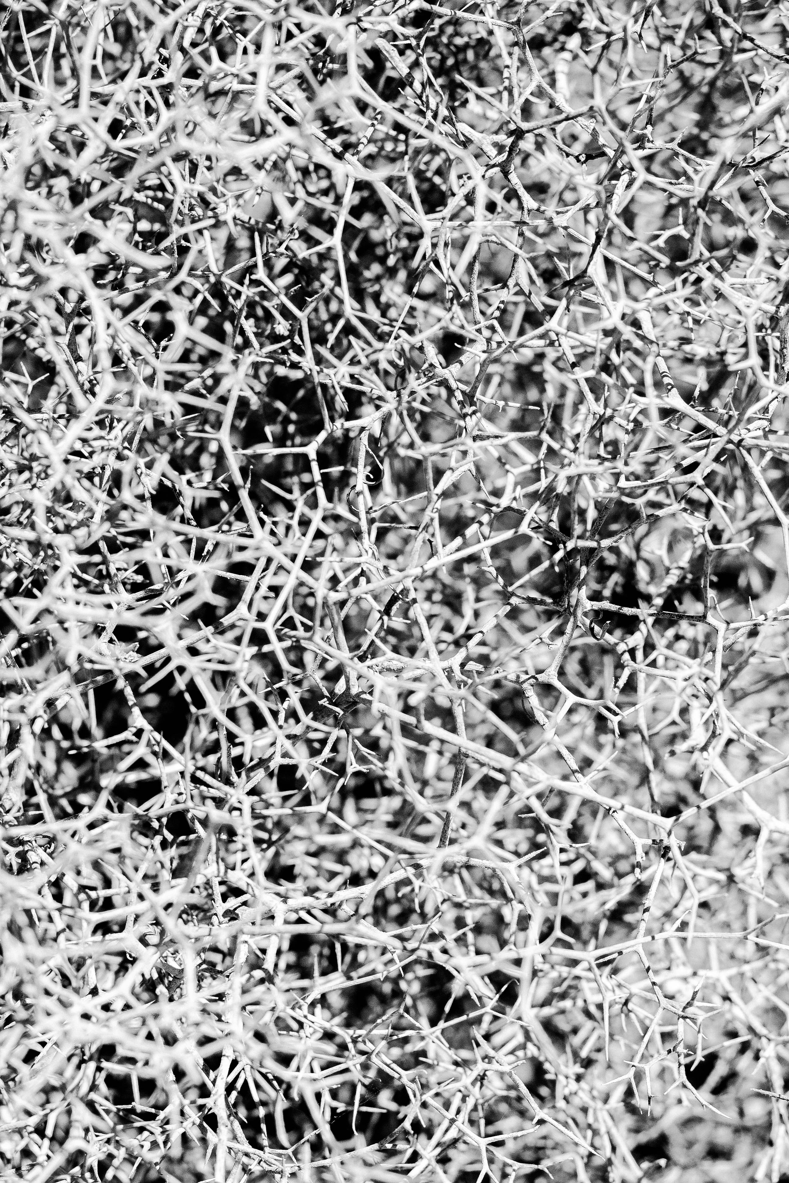 Photo by huefnerdesign