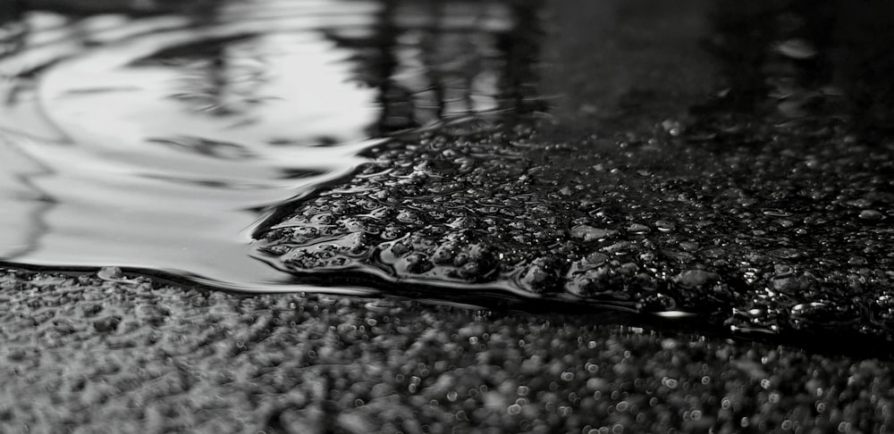 water droplets on body of water