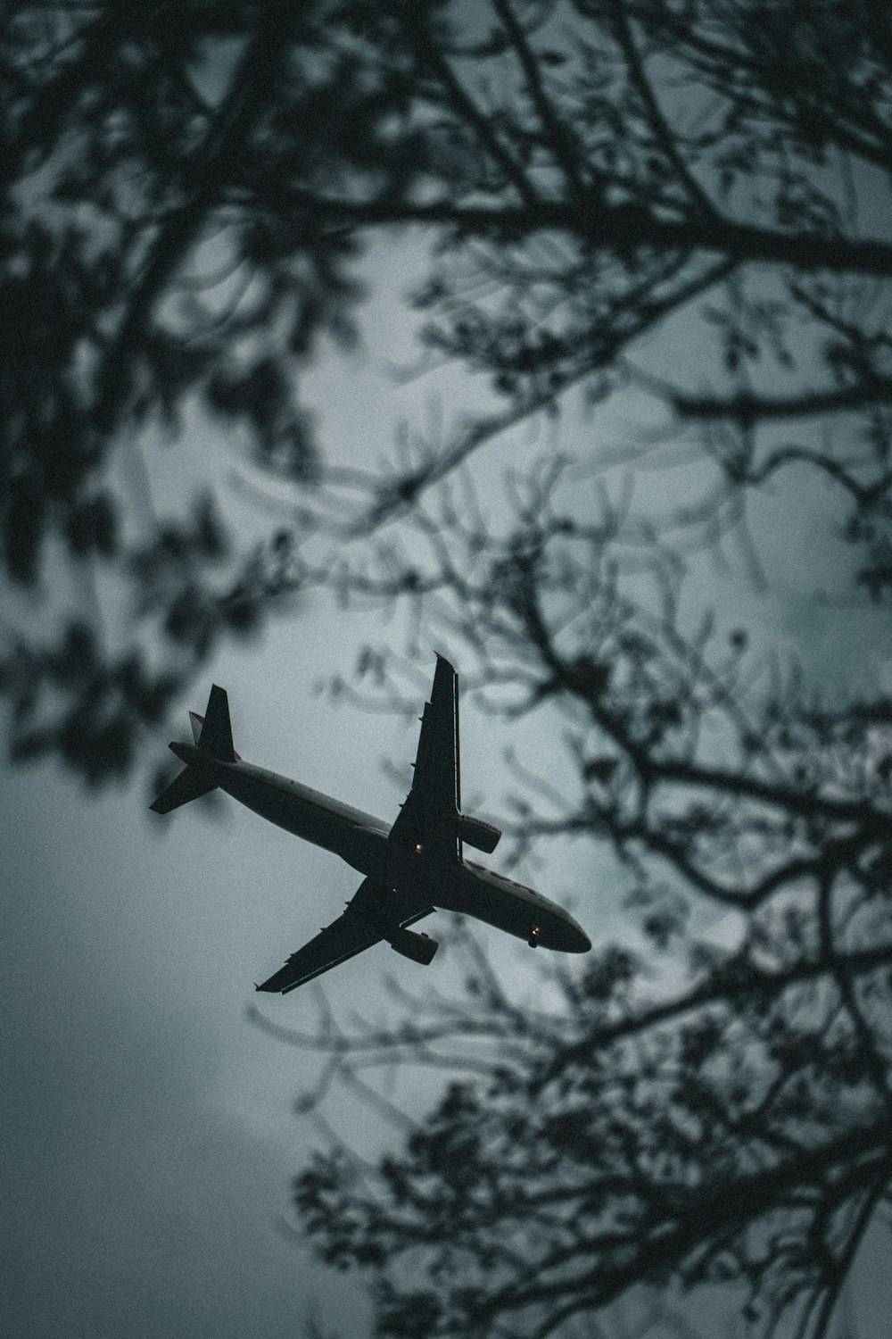 airplane flying in the sky