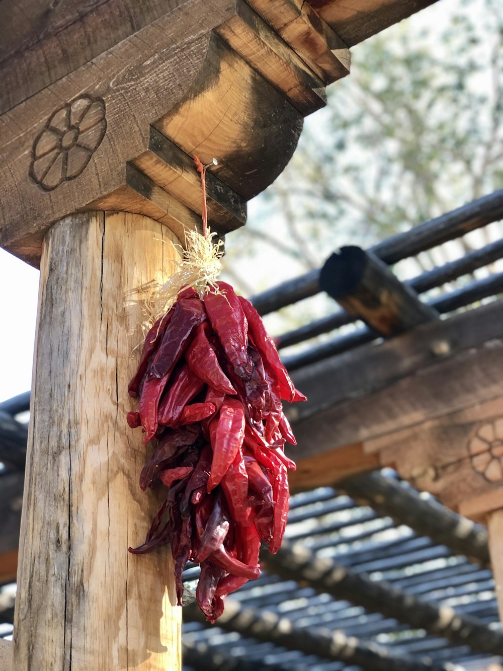 red and white rope on brown wooden post