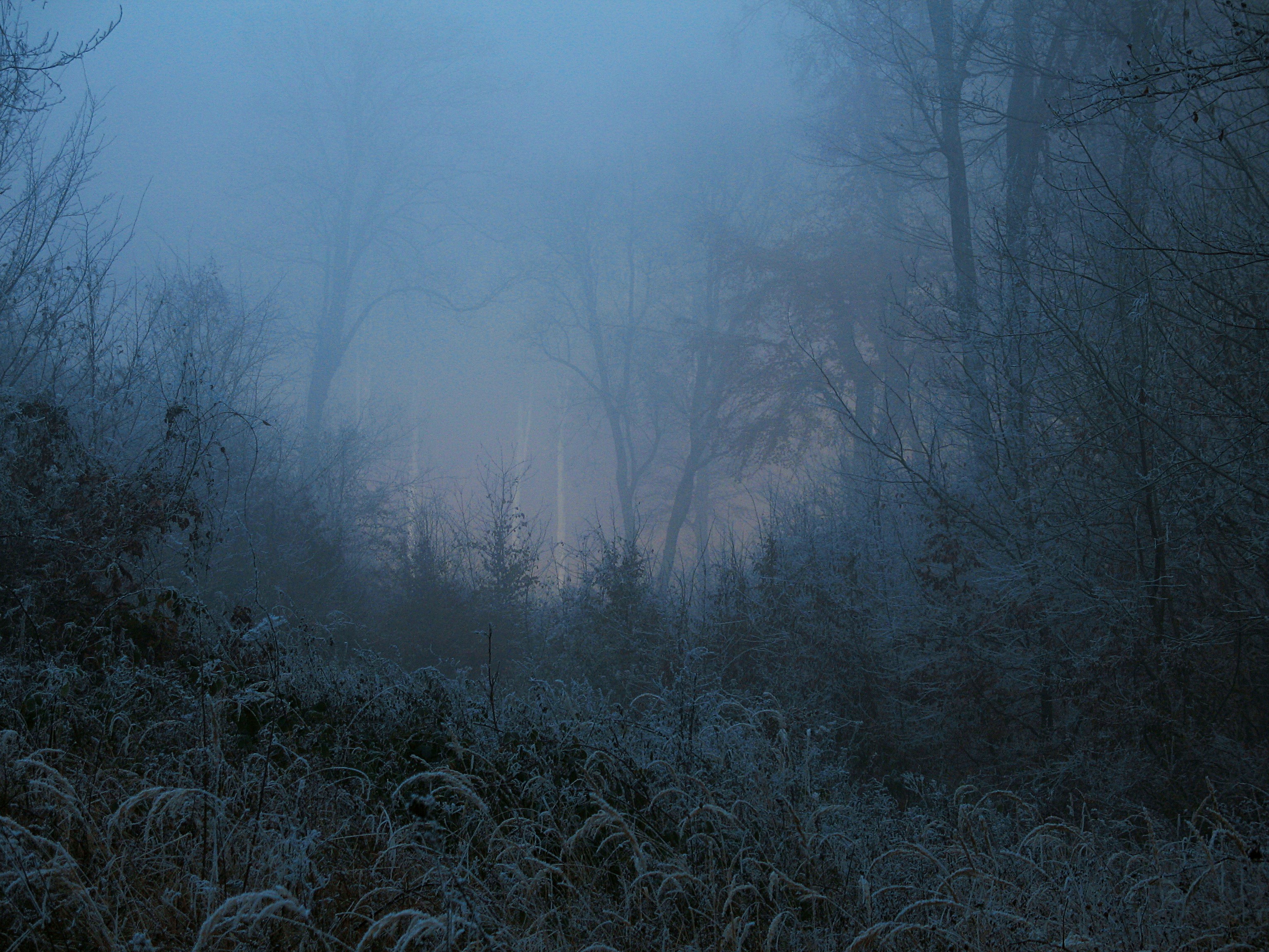 Winter lights and atmosphere