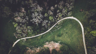 Aerial view of a lush green landscape with winding paths resembling a natural map.