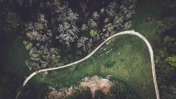 An aerial view of a lush green landscape with winding paths.
