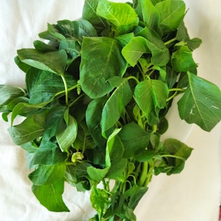 A bundle of fresh green leafy vegetables. The leaves have a vibrant green color, with some exhibiting slight variations in shade. The stems are thick and sturdy, indicating freshness. The white background provides a stark contrast, making the greens stand out.