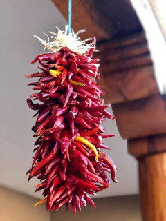 A cozy office corner with spices and dried red chilies on display, sunlight streaming through a window.