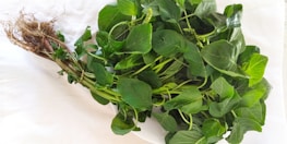 A fresh bundle of green leafy amaranth with visible roots and stems lies on a white surface. The leaves are vibrant and lush, with varied shades of green. Some small flower buds are present among the leaves.