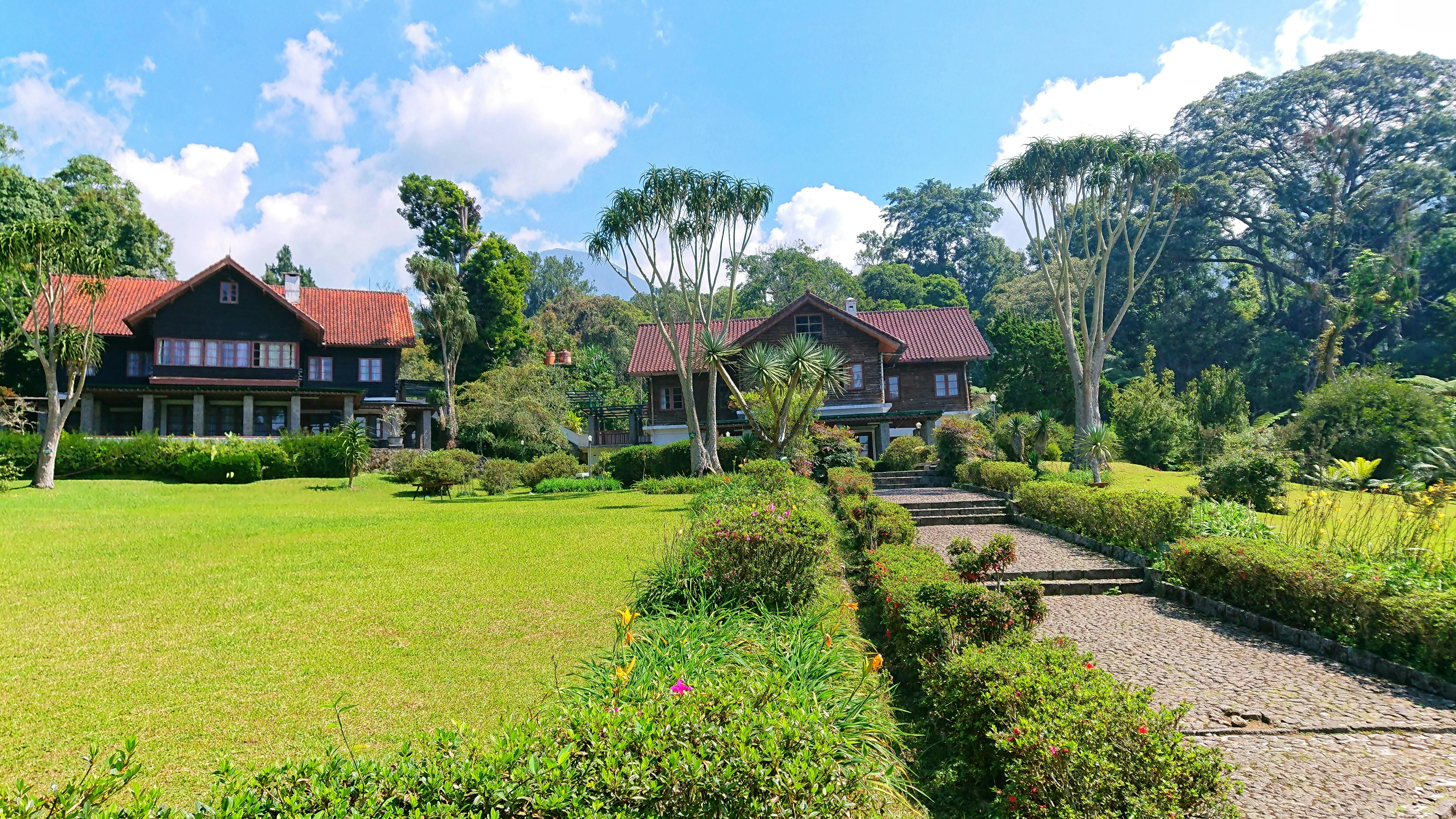 Photo by altairzoldyck