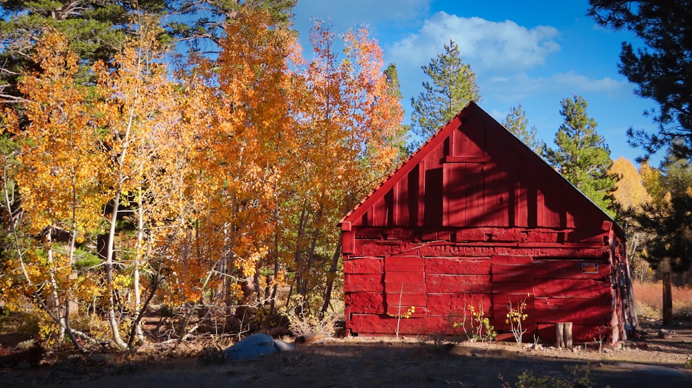 昼間の木の近くの赤い木造の納屋