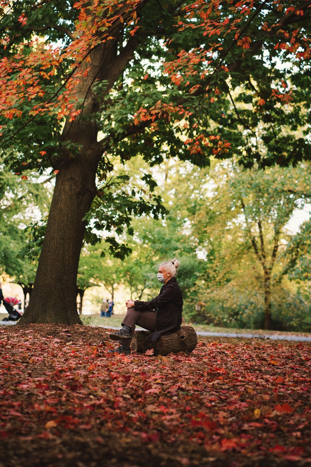 woman in black long sleeve shirt sitting on brown dried leaves on ground during daytime