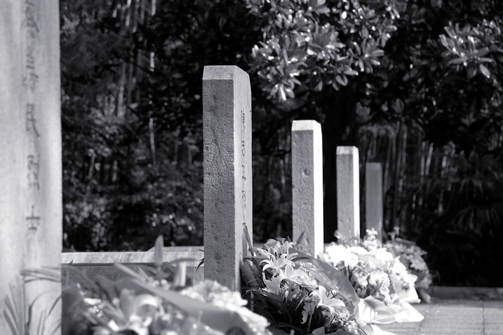 grayscale photo of wooden fence