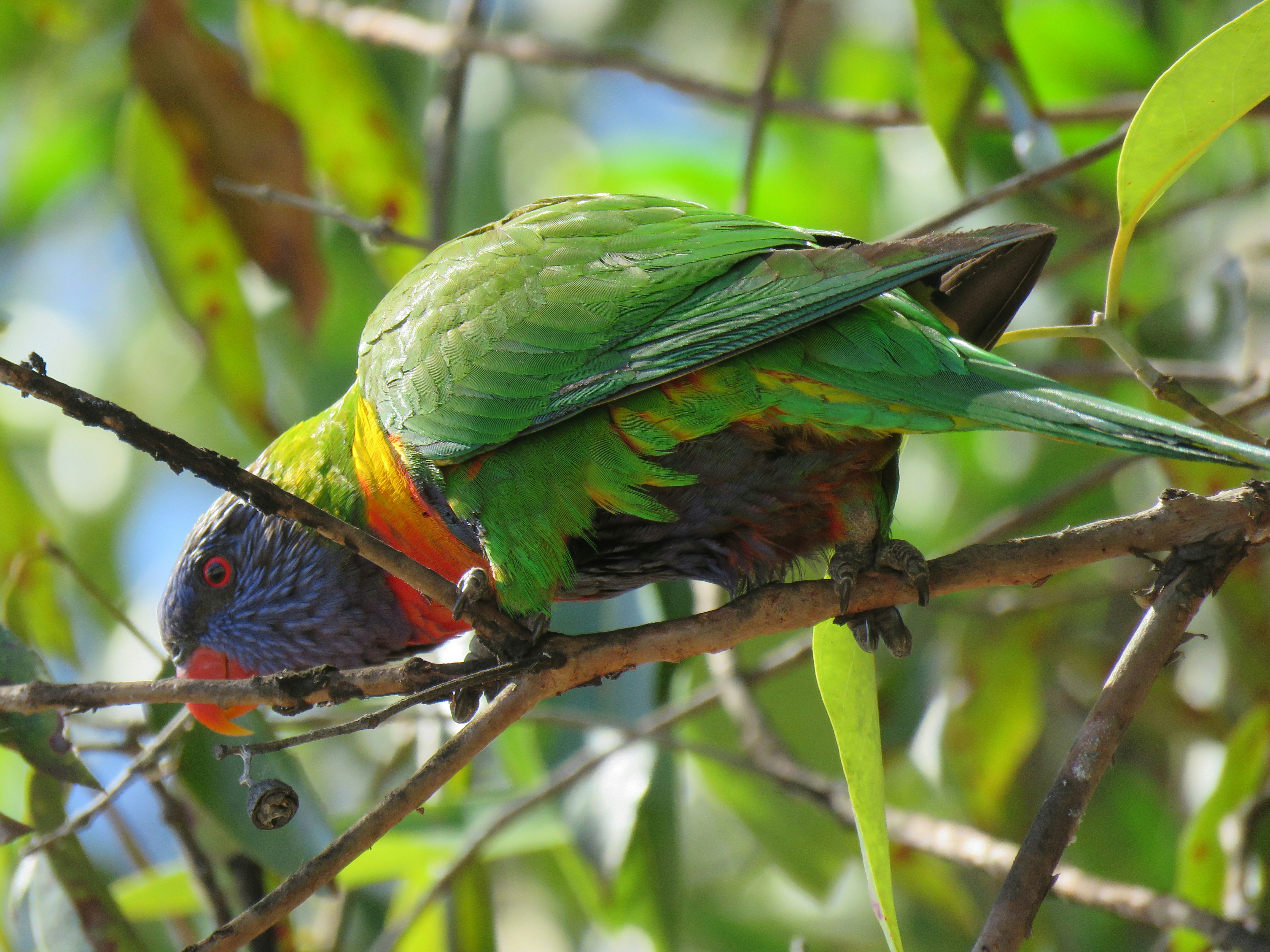 Photo by harper_smith