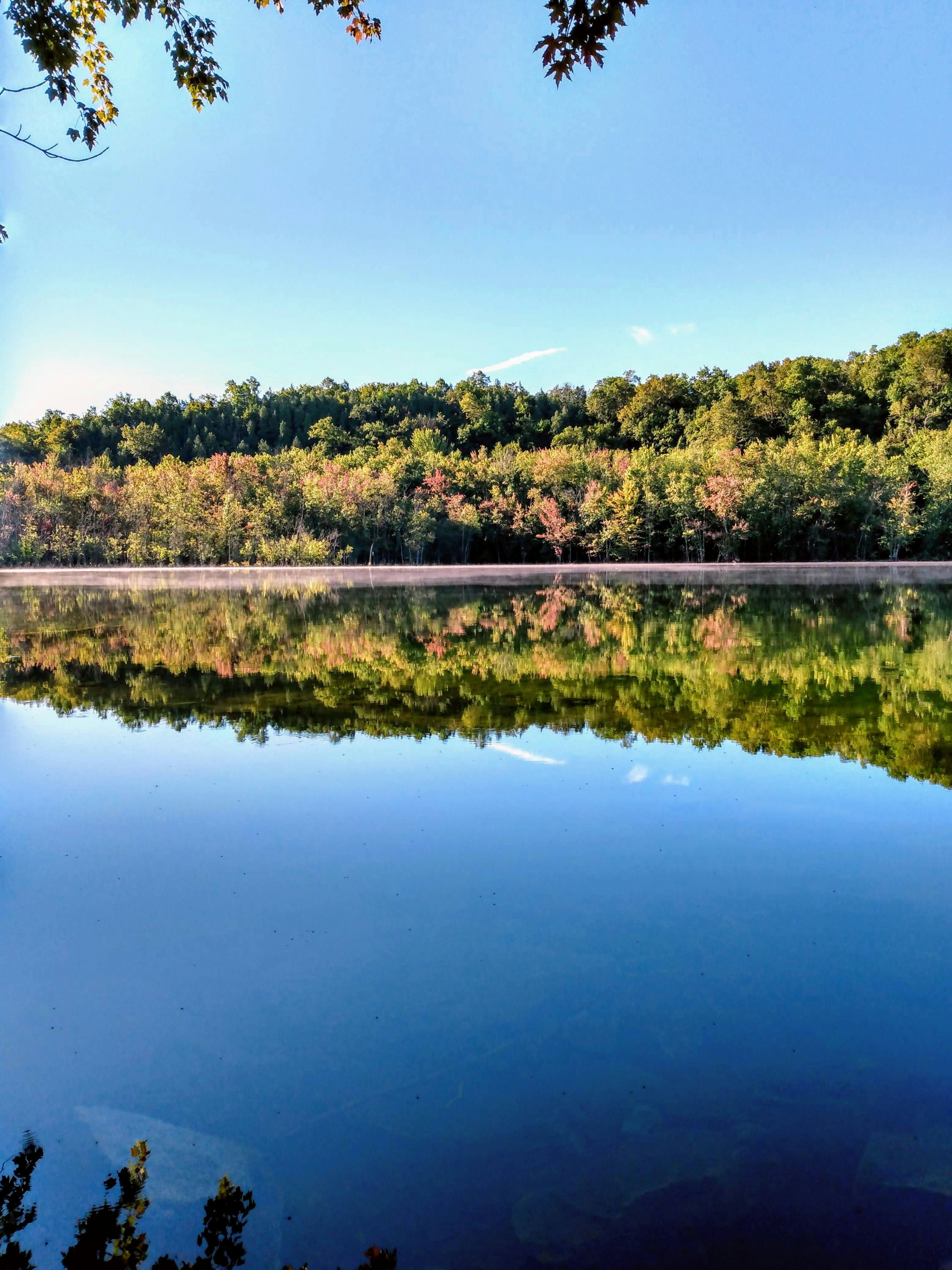 Photo by verinawaldner