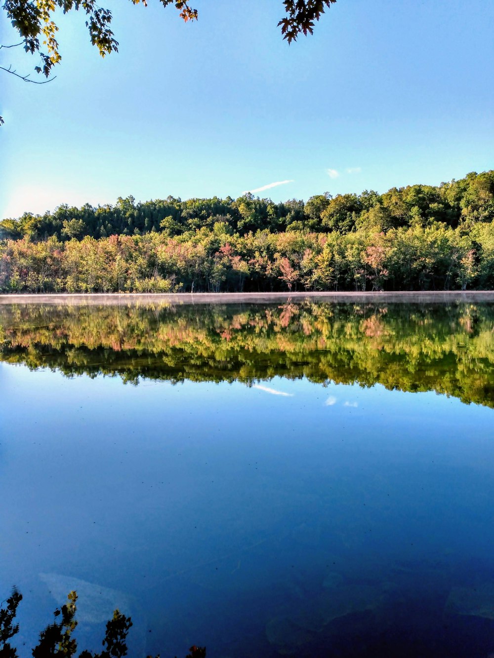 green trees beside lake under blue sky during daytime