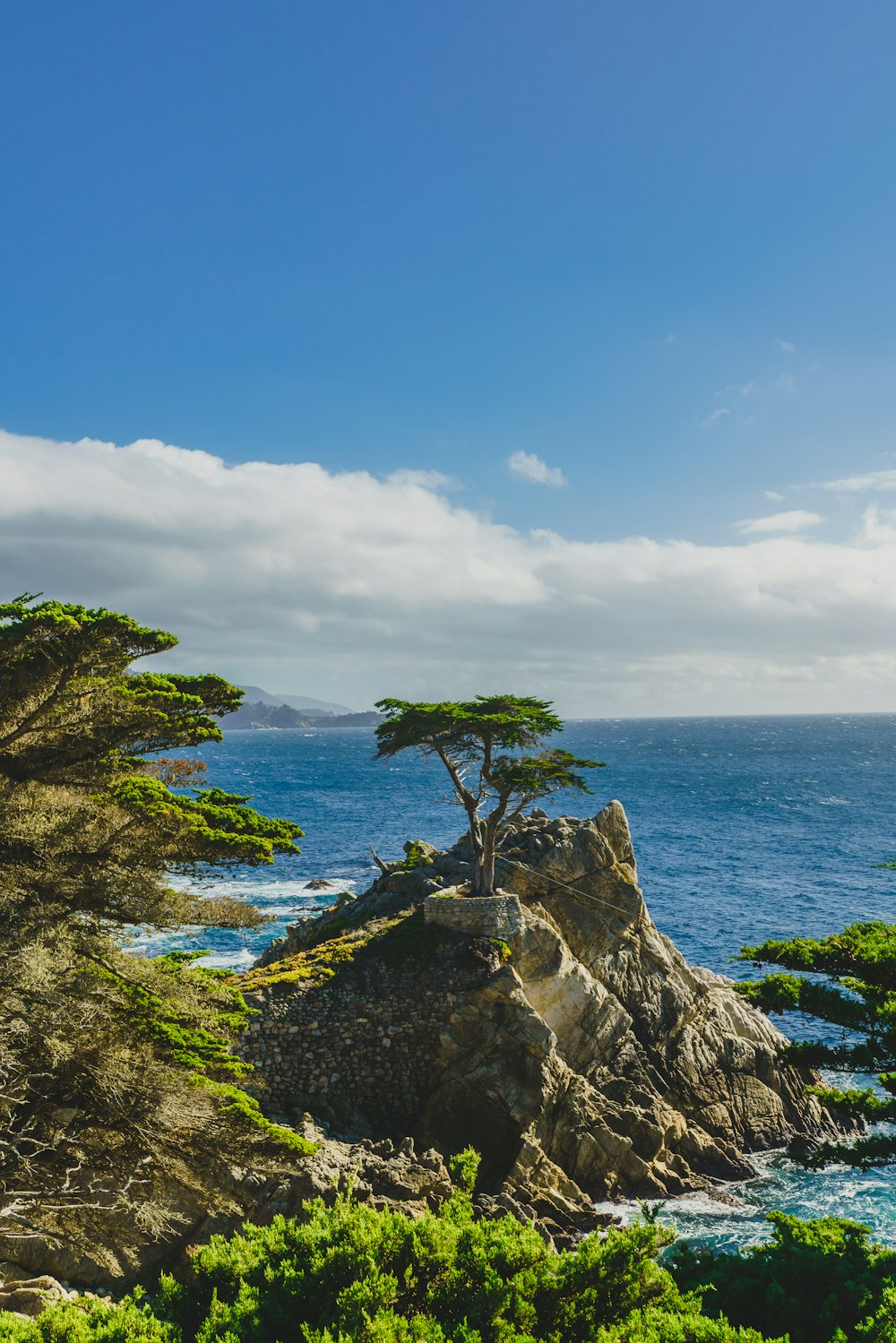 green trees on gray rocky mountain beside blue sea under blue and white cloudy sky during