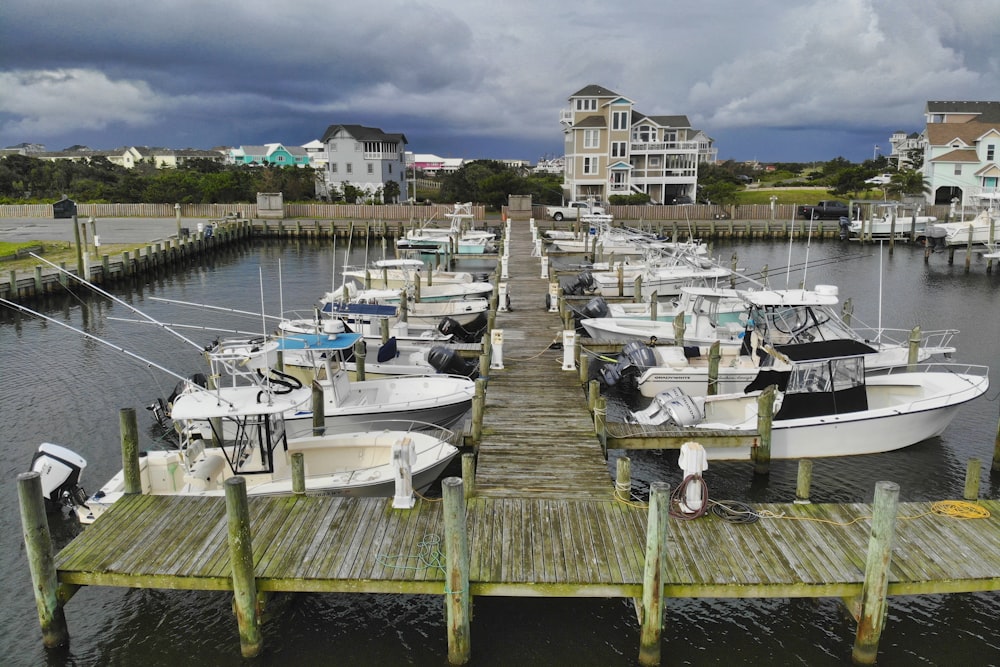 white and blue boat on dock during daytime