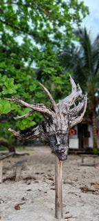 An artist at work, shaping driftwood into a stunning sculpture.
