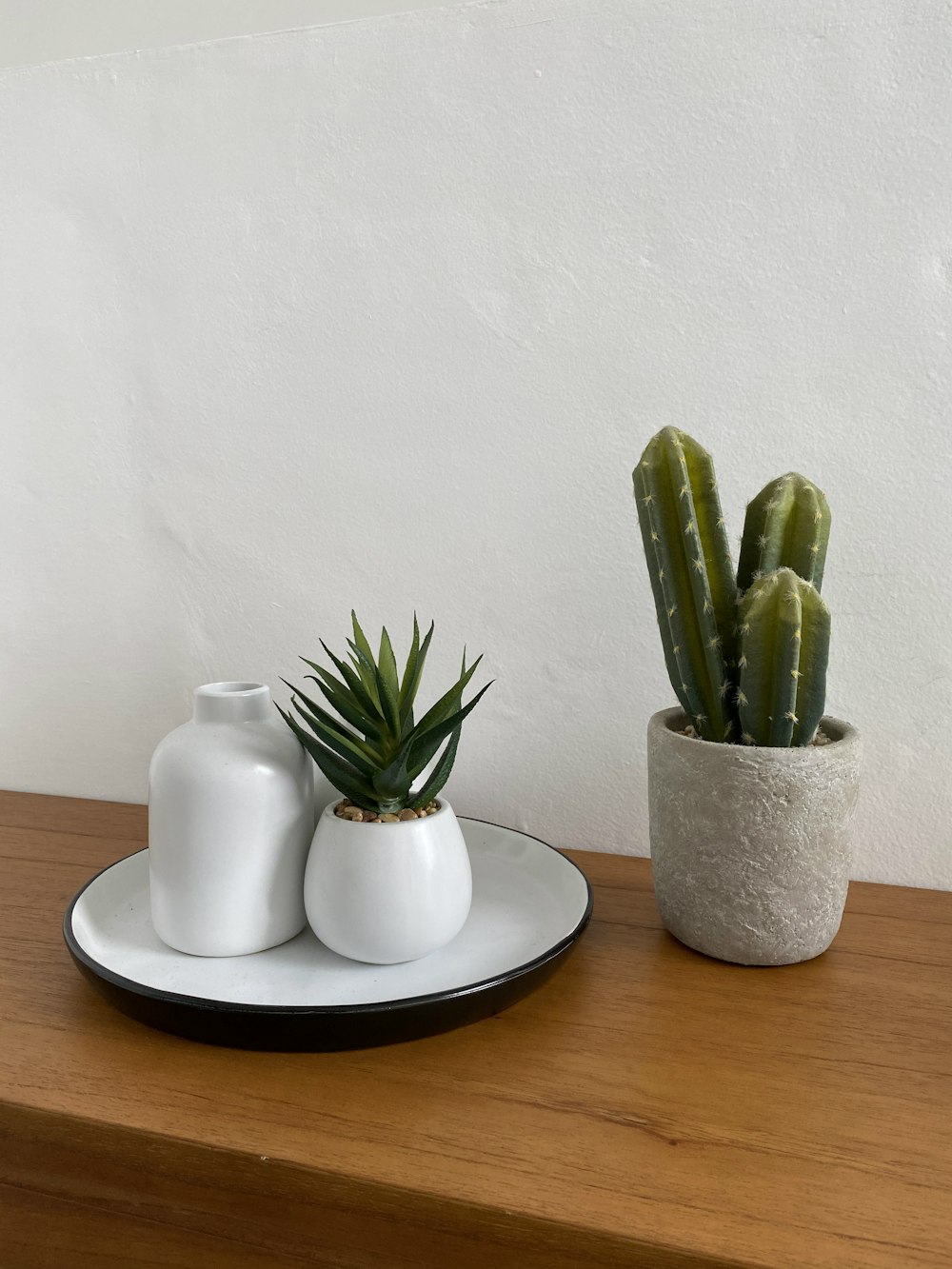 green cactus in white ceramic pot on brown wooden table