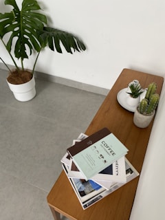 A minimalist wooden coffee table styled with a small potted plant and a stack of books.