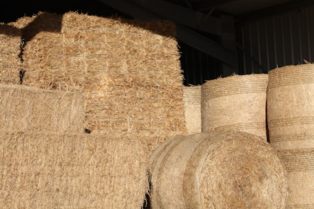 brown rolled hays in room