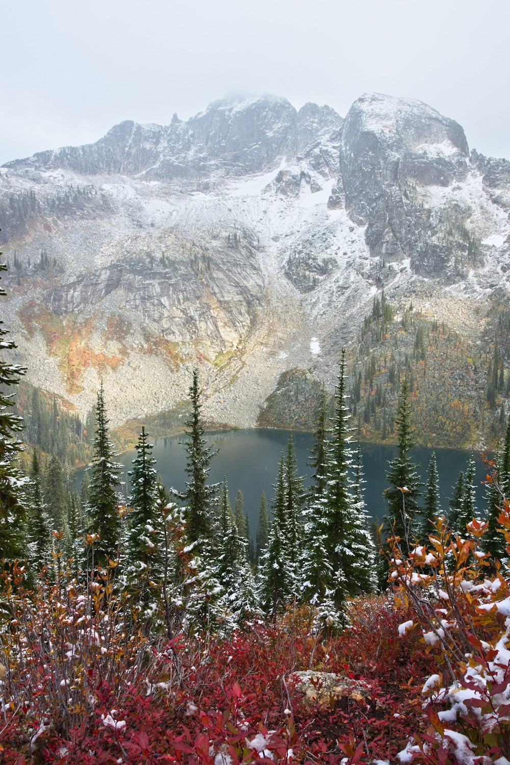 green pine trees near snow covered mountain during daytime