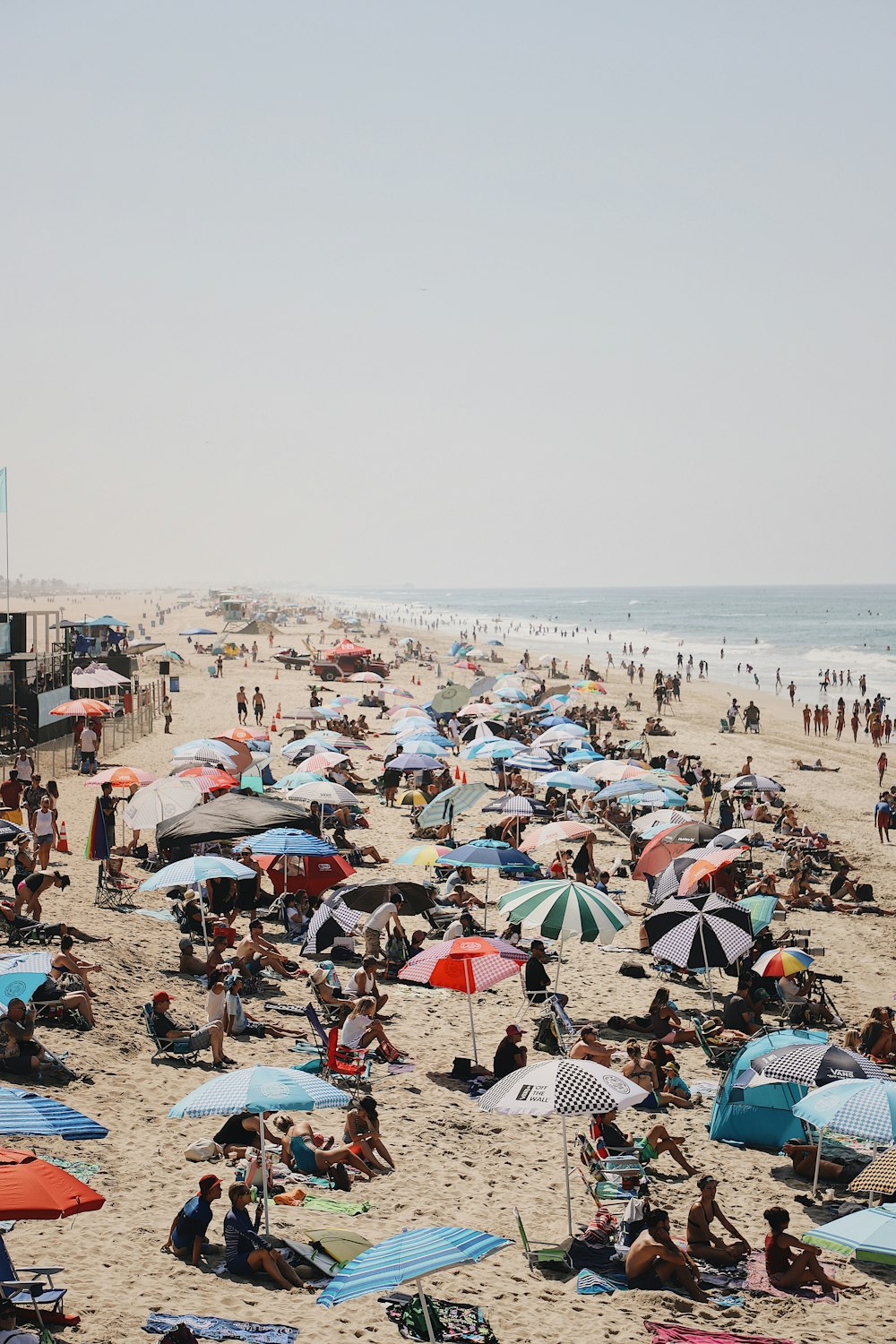 people on beach during daytime