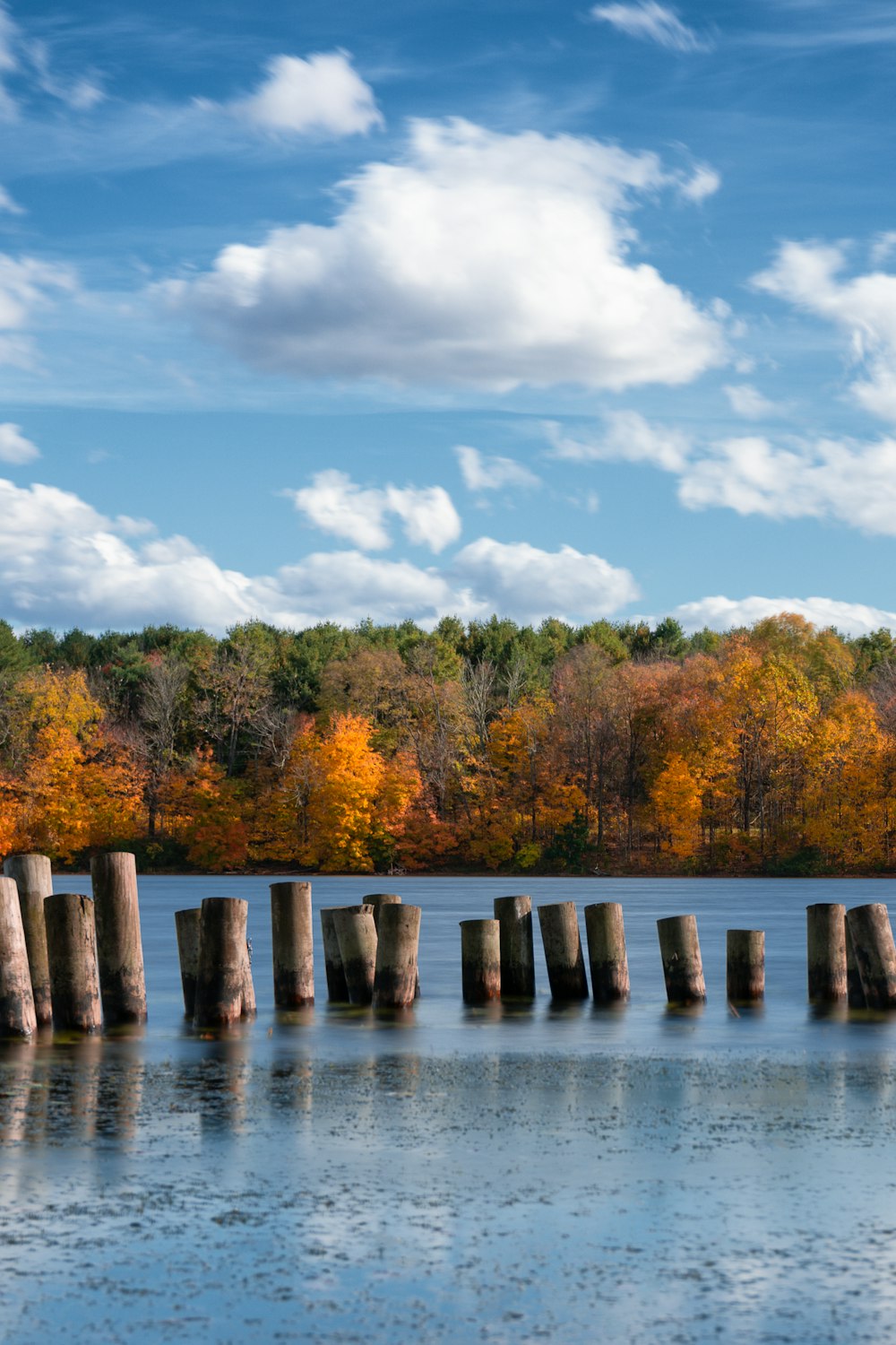 postes de madera marrones en el cuerpo de agua cerca de árboles verdes y amarillos bajo azul y blanco