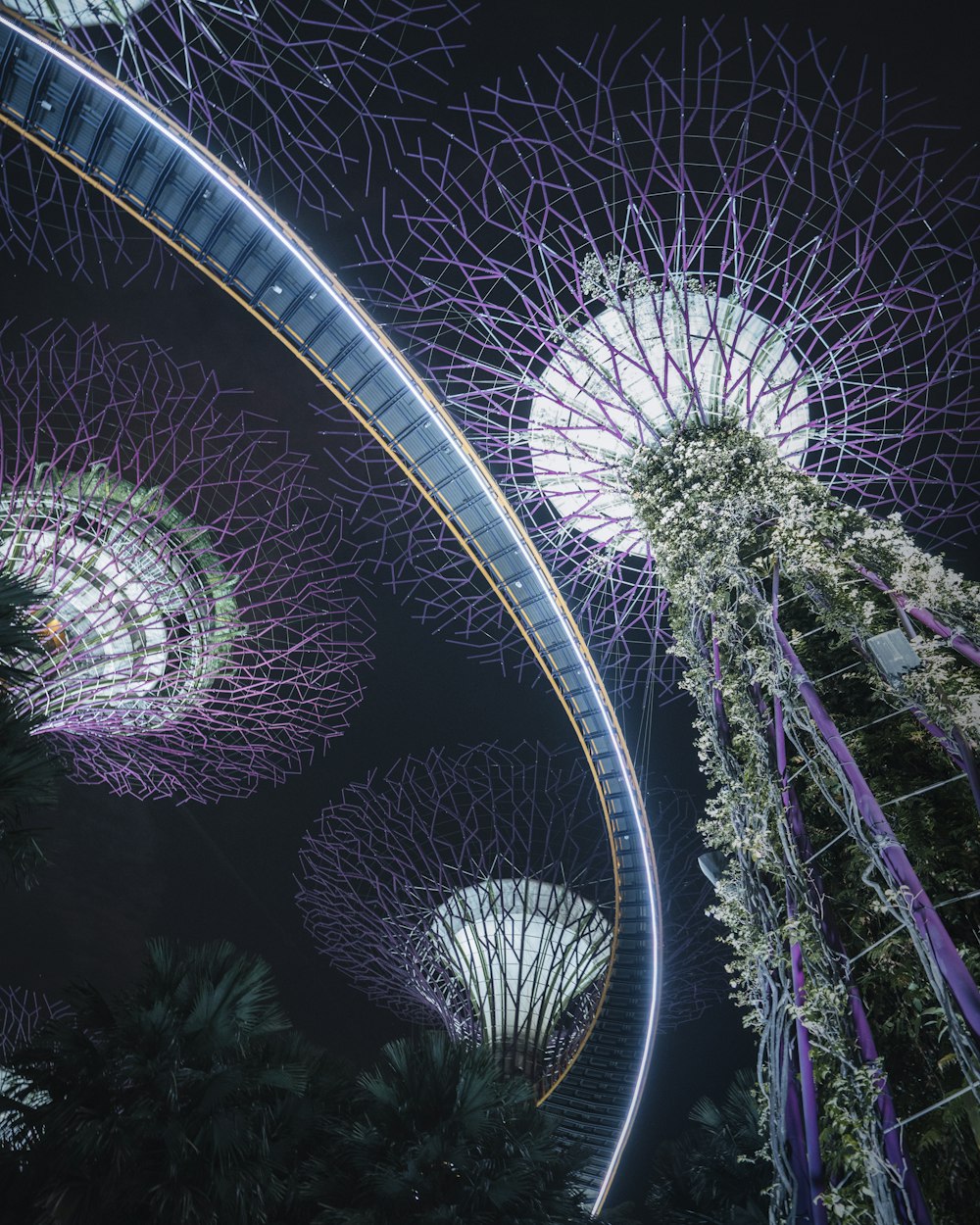 white and purple ferris wheel