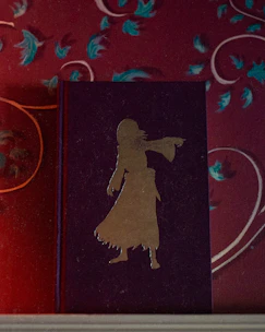 A mysterious witches-themed book cover showing a silhouette of a witch casting a spell in a dark forest.