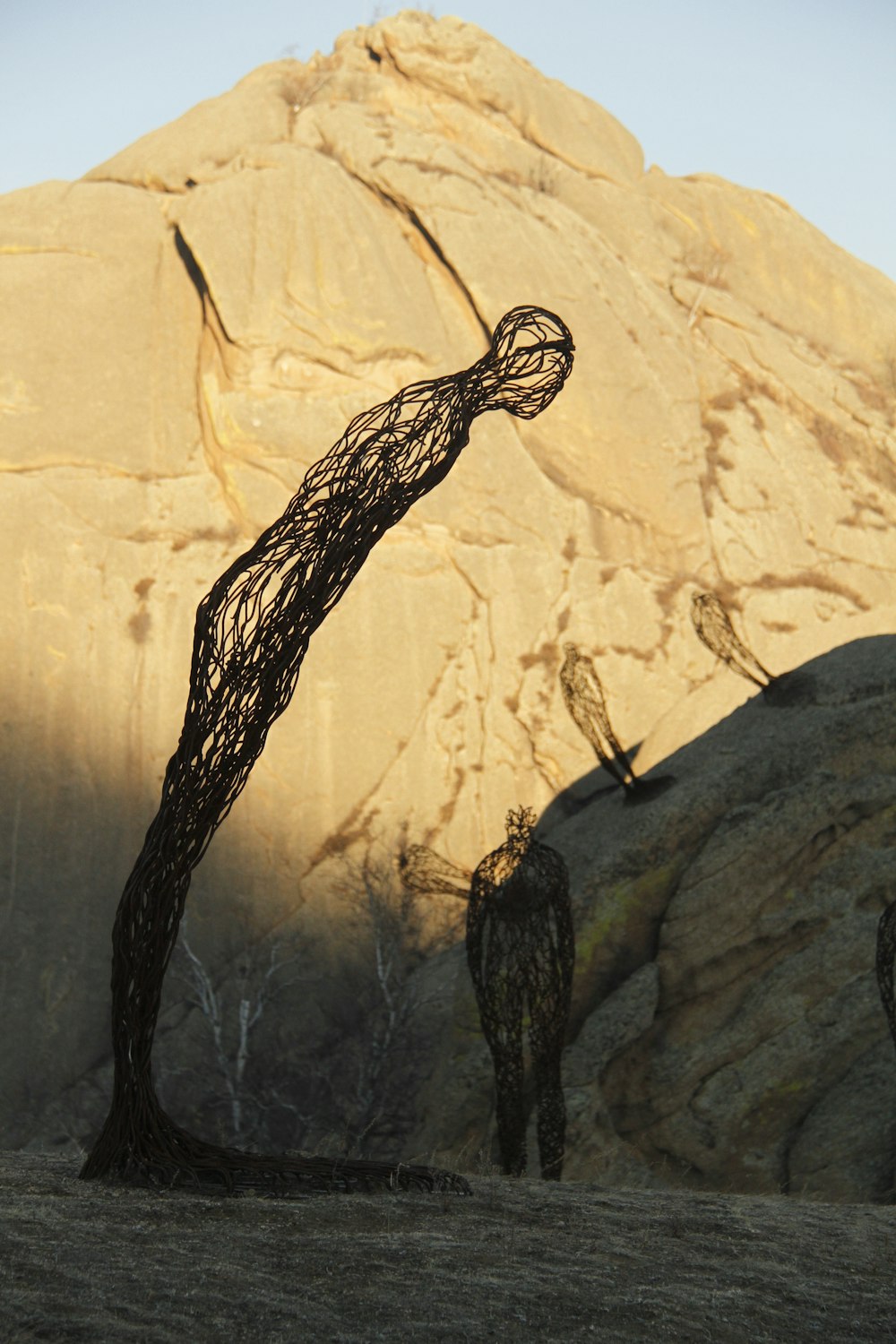 brown tree branch on brown rock