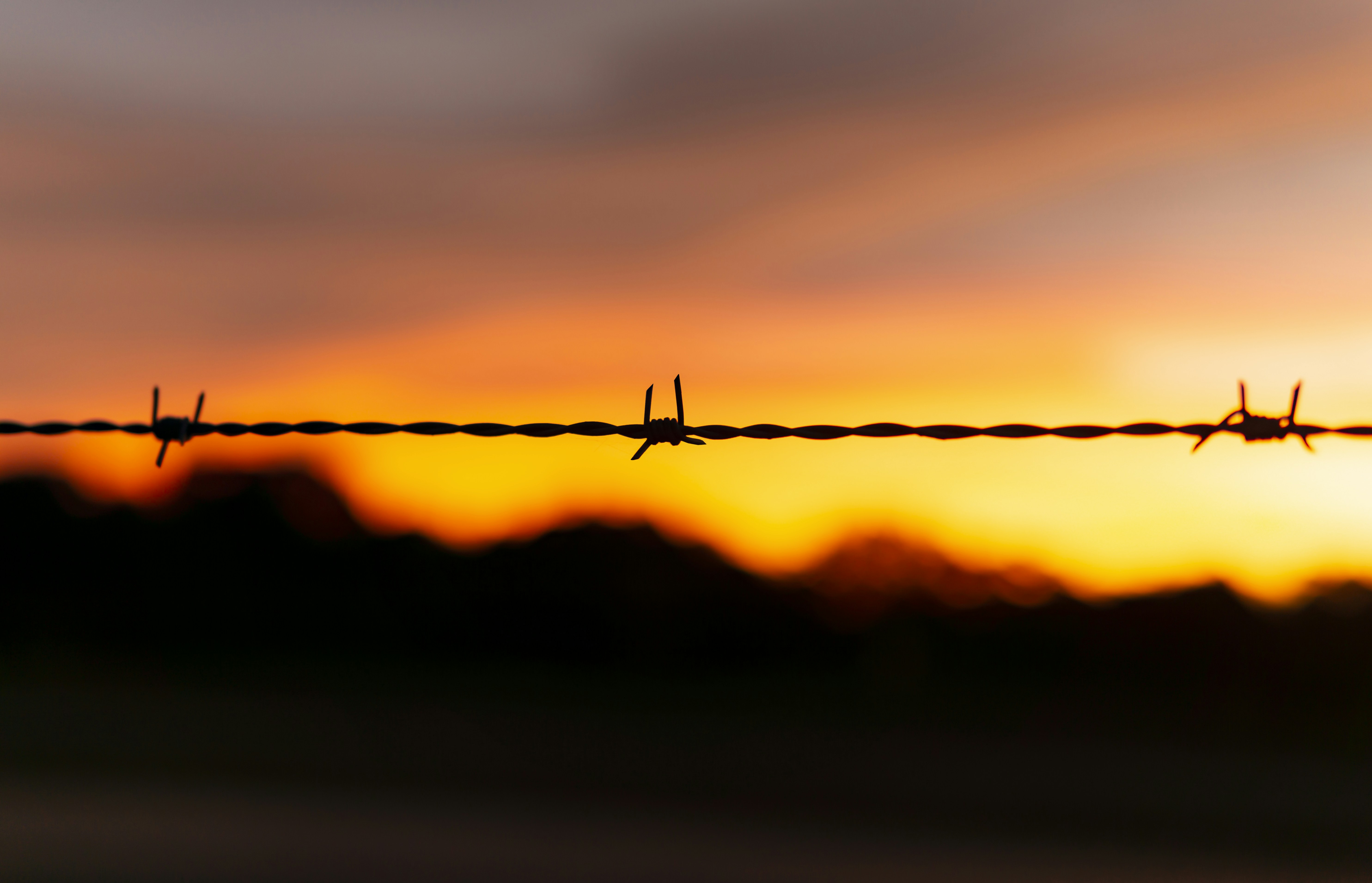 Silhouetted Barbed Wire Fence At Sunset