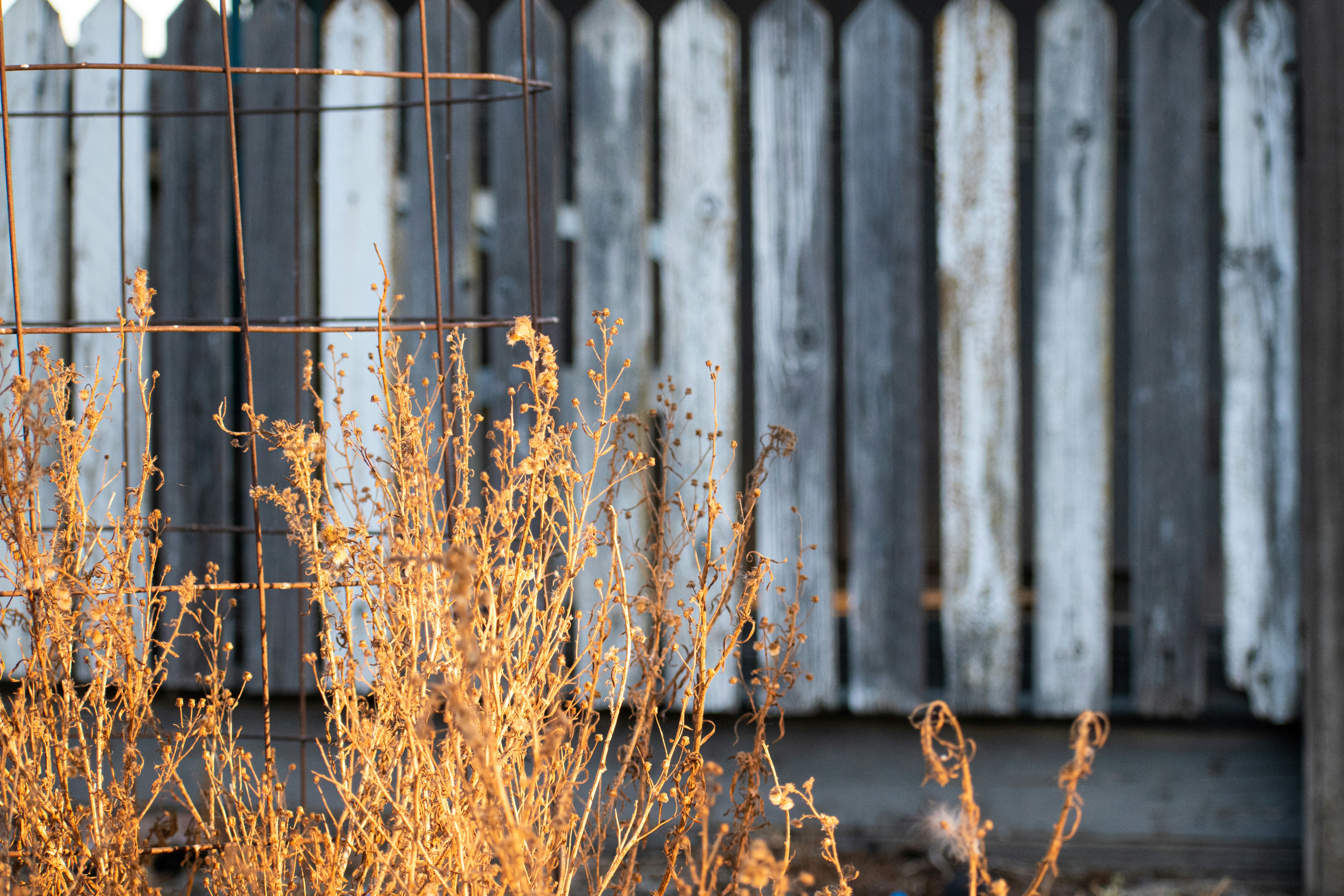 Photo by elisastonephotography