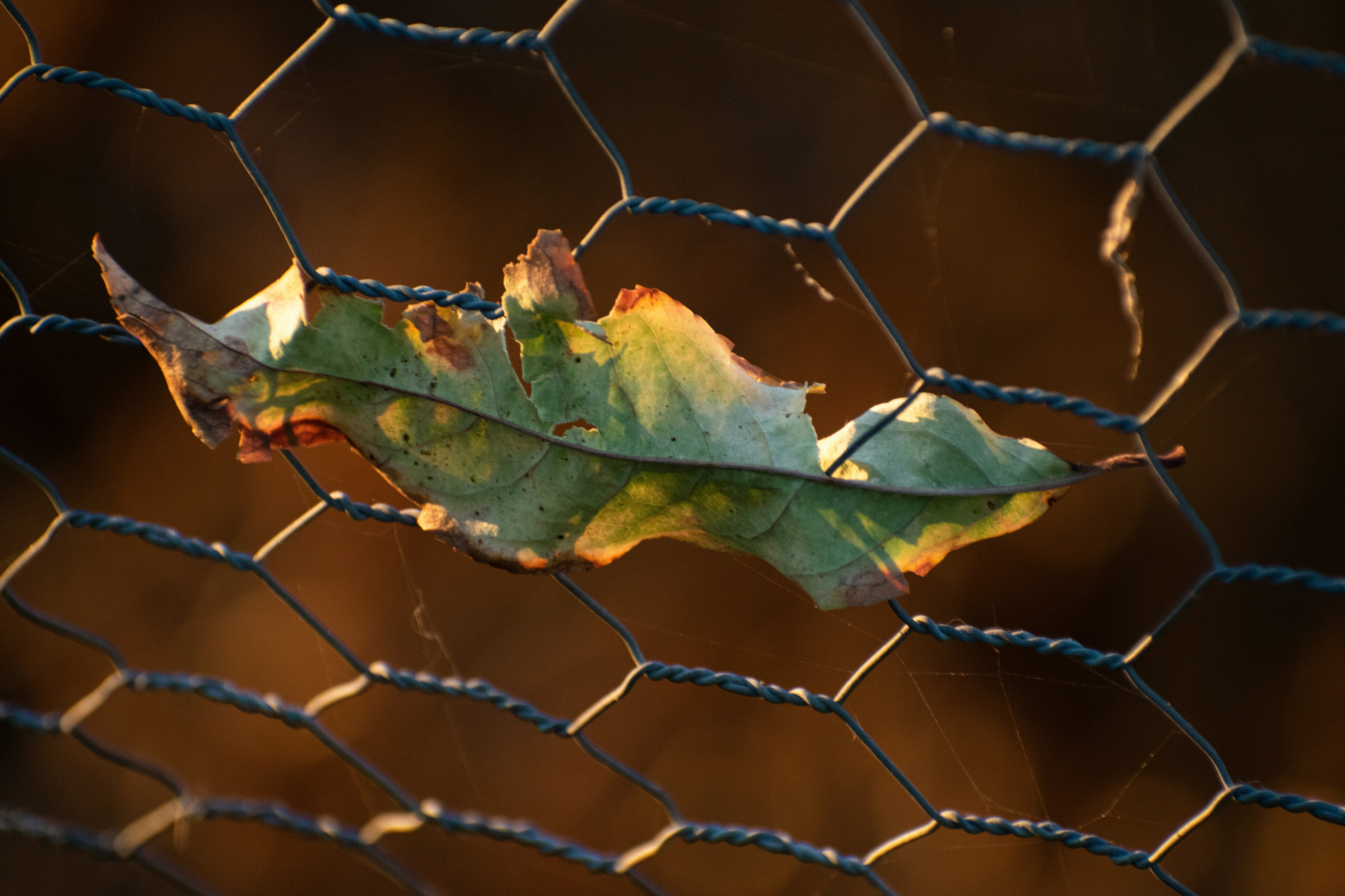 Photo by elisastonephotography