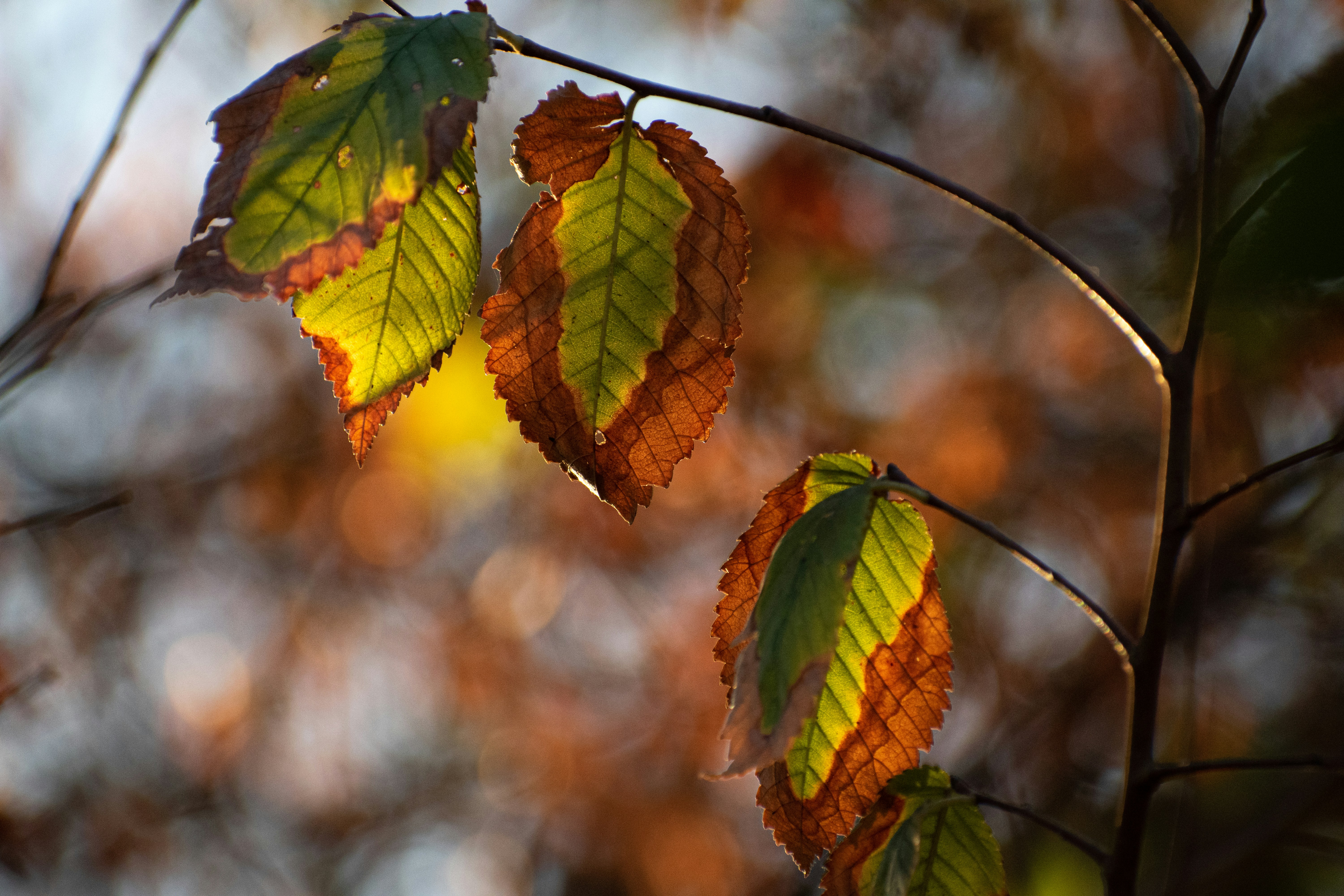 Photo by elisastonephotography