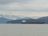 A large cargo ship travels across a calm body of water with a backdrop of forested hills and misty mountains under an overcast sky. A small lighthouse is visible on the shoreline to the left.